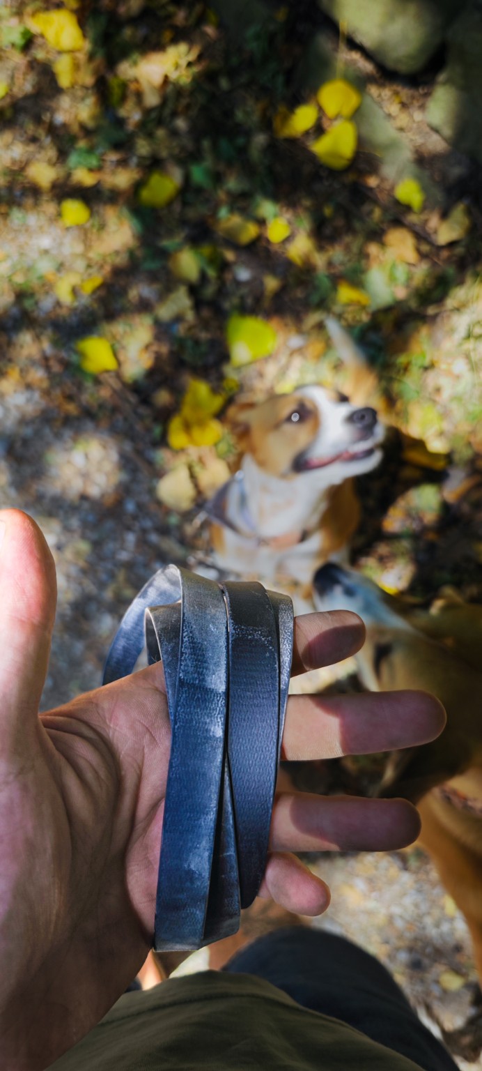 Verschmutzte BioThane Leine im Alltag