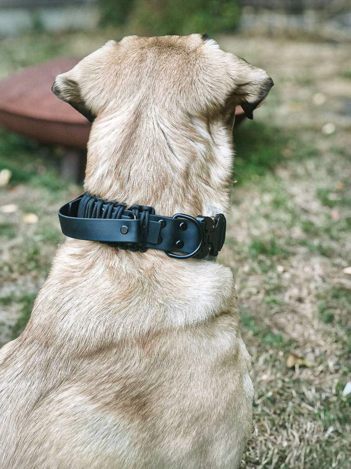 BioThane® x Paracord Halsband mit Haltegriff – Rückansicht